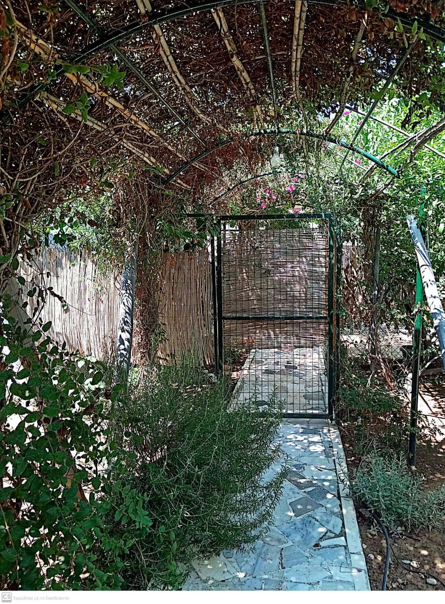 AmbelakiaΕξοχικό Maria别墅 外观 照片